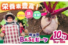 横須賀BASEビーツ 10kg（1kg×10袋）【ゆり子ファーム】 [AKCR002]