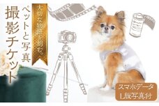 ペットと写真撮影 スマホデータとL版写真付 撮影チケット チケット 撮影 思い出 家族 ペット 記念写真 記念撮影【フォトスタジオ和田写場】 [AKAW004]
