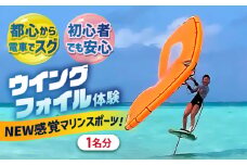 横須賀 津久井浜 Wing Foil (ウイングフォイル) 体験チケット（90分）マリンスポーツ TEARS WINDSURFING SCHOOL ウィンドサーフィン サーフィン リペア 修理 横須賀【ティアーズウインドサーフィンschool】 [AKAN011]