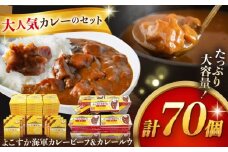 レトルトよこすか海軍カレービーフ 200g×40個・よこすか海軍カレールウ 150g×30個 セット【横須賀商工会議所 おもてなしギフト事務局（株式会社ヤチヨ）】 [AKDZ004]