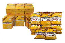 レトルトよこすか海軍カレービーフ 200g×40個・よこすか海軍カレーラーメン 94.5g（めん80g）×30個 セット【横須賀商工会議所 おもてなしギフト事務局（株式会社ヤチヨ）】 [AKDZ005]