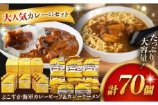 レトルトよこすか海軍カレービーフ 200g×40個・よこすか海軍カレーラーメン 94.5g（めん80g）×30個 セット【横須賀商工会議所 おもてなしギフト事務局（株式会社ヤチヨ）】 [AKDZ005]