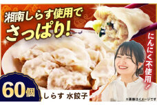 【テレビで紹介されました！】冷凍 しらす 水餃子 60個【横須賀商工会議所 おもてなしギフト事務局（上海亭）】 [AKED007]