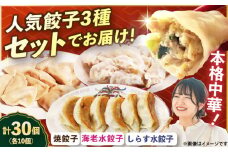 【テレビで紹介されました！】冷凍 海老水餃子 しらす水餃子 焼餃子 3種 セット 計30個【横須賀商工会議所 おもてなしギフト事務局（上海亭）】 [AKED008]