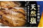 漁師町佐島 干物詰め合わせ5種 2人前セット キンメ鯛 アジ カマス イワシ イカ 干物セット 人気 干物 個包装