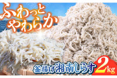 釜揚げ 湘南しらす 1kg×２P / しらす 湘南 ふわふわ 食感 冷凍 国産 シラス お取り寄せ 人気 大容量 佐島 横須賀 かながわブランド 神奈川県【平敏丸】 [AKEZ004]