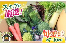 よこすか野菜セット すかなボックス 野菜 お野菜 季節野菜 やさい 詰め合わせ 詰合せ セット お楽しみ 産地直送 旬 厳選 すかなごっそ 農産物 神奈川県 横須賀市【JAよこすか葉山】 [AKFO001]