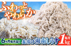 【全6回定期便】釜揚げ 湘南しらす 1kg / しらす 湘南 ふわふわ 食感 冷凍 国産 シラス お取り寄せ 人気 大容量 佐島 横須賀 かながわブランド 神奈川県【平敏丸】 [AKEZ012]