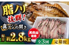 【全3回定期便】漁師町 佐島 真アジの開き 約2.8kg（40枚前後）セット 干物 横須賀  国産 魚 大人気 定期 冷凍 【石川水産】 [AKCX006]