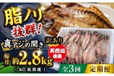 【全3回定期便】漁師町 佐島 真アジの開き 約2.8kg（40枚前後）セット 干物 横須賀  国産 魚 大人気 定期 冷凍 【石川水産】 [AKCX006]