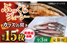 【全3回定期便】漁師町佐島 カマスの開き 15枚セット 干物 横須賀  国産 魚 大人気 定期 冷凍【石川水産】 [AKCX007]