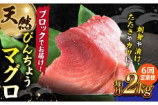 【全6回定期便】天然 まぐろ 冷凍ぶっこみブロック約2kg 鮪 マグロ 刺身 冷凍 横須賀【横須賀商工会議所 おもてなしギフト事務局（本まぐろ直売所 横須賀本店）】 [AKAK024]