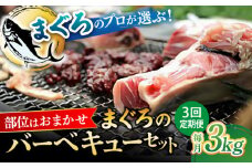 【全3回定期便】まぐろ おまかせバーベキューセット 冷凍約3kg 鮪 マグロ BBQ 魚 横須賀【横須賀商工会議所 おもてなしギフト事務局（本まぐろ直売所 横須賀本店）】 [AKAK032]