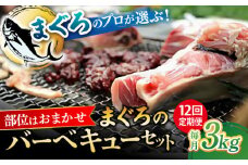 【全12回定期便】まぐろ おまかせバーベキューセット 冷凍約3kg 鮪 マグロ BBQ 魚 横須賀【横須賀商工会議所 おもてなしギフト事務局（本まぐろ直売所 横須賀本店）】 [AKAK034]