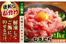 【全6回定期便】まぐろ ねぎとろ 約1kg（約250g×4パック） 鮪 マグロ 魚 ネギトロ 横須賀【横須賀商工会議所 おもてなしギフト事務局（本まぐろ直売所 横須賀本店）】 [AKAK036]