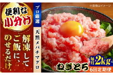【全6回定期便】まぐろ ねぎとろ 約2kg（約250g×8パック） 鮪 マグロ 魚 ネギトロ 横須賀【横須賀商工会議所 おもてなしギフト事務局（本まぐろ直売所 横須賀本店）】 [AKAK039]