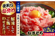 【全12回定期便】まぐろ ねぎとろ 約2kg（約250g×8パック） 鮪 マグロ 魚 ネギトロ 横須賀【横須賀商工会議所 おもてなしギフト事務局（本まぐろ直売所 横須賀本店）】 [AKAK040]
