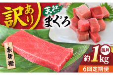 【全6回定期便】【訳あり】天然 まぐろ 赤身（約1kg） わけあり ワケあり 鮪 マグロ 魚 刺身 まぐろ あかみ 横須賀【横須賀商工会議所 おもてなしギフト事務局（本まぐろ直売所 横須賀本店）】 [AKAK057]