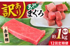 【全12回定期便】【訳あり】天然 まぐろ 赤身（約1kg） わけあり ワケあり 鮪 マグロ 魚 刺身 まぐろ あかみ 横須賀【横須賀商工会議所 おもてなしギフト事務局（本まぐろ直売所 横須賀本店）】 [AKAK058]