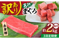 【全3回定期便】【訳あり】天然 まぐろ 赤身（約2kg） わけあり ワケあり 鮪 マグロ 魚 刺身 まぐろ あかみ 横須賀【横須賀商工会議所 おもてなしギフト事務局（本まぐろ直売所 横須賀本店）】 [AKAK059]