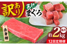 【全12回定期便】【訳あり】天然 まぐろ 赤身（約2kg） わけあり ワケあり 鮪 マグロ 魚 刺身 まぐろ あかみ 横須賀【横須賀商工会議所 おもてなしギフト事務局（本まぐろ直売所 横須賀本店）】 [AKAK061]