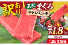 【全12回定期便】【訳あり】天然 本まぐろ 中トロ 計約1.8kg (8柵入り) 鮪 マグロ 魚 刺身 横須賀【横須賀商工会議所 おもてなしギフト事務局（本まぐろ直売所 横須賀本店）】 [AKAK073]