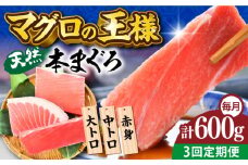 【全3回定期便】天然 本まぐろ 大トロ・中トロ・赤身（約200ｇ×3柵）約600ｇ  鮪 マグロ 魚 刺身 横須賀【横須賀商工会議所 おもてなしギフト事務局（本まぐろ直売所 横須賀本店）】 [AKAK074]