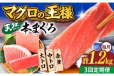 【全3回定期便】天然 本まぐろ 大トロ・中トロ・赤身（約200ｇ×6柵）約1200ｇ  鮪 マグロ 魚 刺身 横須賀【横須賀商工会議所 おもてなしギフト事務局（本まぐろ直売所 横須賀本店）】 [AKAK077]