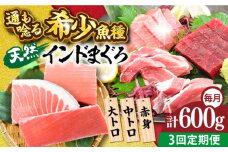 【全3回定期便】天然 まぐろ 大トロ・中トロ・赤身（約200ｇ×3柵）約600ｇ 鮪 マグロ 魚 刺身 横須賀【横須賀商工会議所 おもてなしギフト事務局（本まぐろ直売所 横須賀本店）】 [AKAK080]