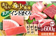 【全6回定期便】天然 まぐろ 大トロ・中トロ・赤身（約200ｇ×3柵）約600ｇ 鮪 マグロ 魚 刺身 横須賀【横須賀商工会議所 おもてなしギフト事務局（本まぐろ直売所 横須賀本店）】 [AKAK081]