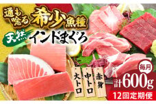 【全12回定期便】天然 まぐろ 大トロ・中トロ・赤身（約200ｇ×3柵）約600ｇ 鮪 マグロ 魚 刺身 横須賀【横須賀商工会議所 おもてなしギフト事務局（本まぐろ直売所 横須賀本店）】 [AKAK082]