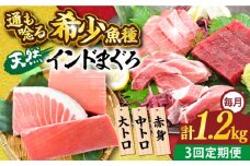 【全3回定期便】天然 まぐろ 大トロ・中トロ・赤身（約200ｇ×6柵）約1200ｇ 鮪 マグロ 魚 刺身 横須賀【横須賀商工会議所 おもてなしギフト事務局（本まぐろ直売所 横須賀本店）】 [AKAK083]