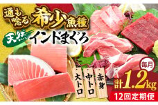 【全12回定期便】天然 まぐろ 大トロ・中トロ・赤身（約200ｇ×6柵）約1200ｇ 鮪 マグロ 魚 刺身 横須賀【横須賀商工会議所 おもてなしギフト事務局（本まぐろ直売所 横須賀本店）】 [AKAK085]