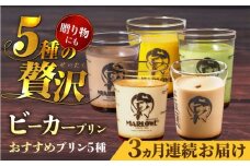 【全3回定期便】葉山ビーカープリン おすすめプリン180g×5個セット（かぼちゃ・エスプレッソ・抹茶・北海道フレッシュクリーム・チョコレート） ぷりん プリン定期 プリン詰め合わせ プリン 焼きプリン 5種 セット 葉山 人気の味 デザート スイーツ お菓子 食べ比べ ビーカー付き 贈り物 贅沢 人気 定期便 全3回【マーロウ】 [AKAF038]