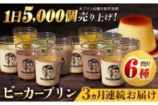 【全3回定期便】葉山ビーカープリン パーティーアソート セット 6種×2個 詰め合わせ（カスタード・かぼちゃ・抹茶・北海道フレッシュクリーム・エスプレッソ・チョコレート）プリン ぷりん スイーツ デザート パーティーセット 詰め合わせ 食べ比べ 焼きプリン 人気 お菓子 贈り物 贅沢 人気 ギフト ご褒美 洋菓子 おかし ビーカープリン プレゼント 横須賀【マーロウ】 [AKAF047]