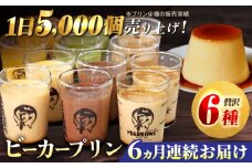 【全6回定期便】葉山ビーカープリン パーティーアソート セット 6種×2個 詰め合わせ（カスタード・かぼちゃ・抹茶・北海道フレッシュクリーム・エスプレッソ・チョコレート）プリン ぷりん スイーツ デザート パーティーセット 詰め合わせ 食べ比べ 焼きプリン 人気 お菓子 贈り物 贅沢 人気 ギフト ご褒美 洋菓子 おかし ビーカープリン プレゼント 横須賀【マーロウ】 [AKAF048]