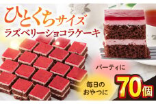 ラズベリーショコラケーキ  ラズベリーショコラケーキ ラズベリーケーキ けーき 洋菓子 カットケーキ こども ひとくちサイズ たっぷり パーティ 人気【ファミール製菓株式会社】 [AKCI007]