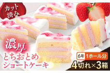 ドルチェケーキ とちおとめショート ケーキ 計12個（4個×3箱） 【ファミール製菓株式会社】 [AKCI022]