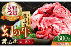 【全3回定期便】葉山牛 切り落とし300g×2パック 国産牛 牛肉 切り落とし 高級和牛 冷凍 黒毛和牛 国産 希少品種 小分け 横須賀 すき焼き すきやき ぎゅうにく きりおとし 大容量 神奈川銘品 計600g【株式会社羽根】 [AKAG027]