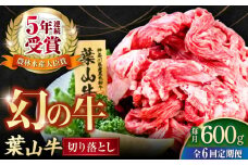 【全6回定期便】葉山牛 切り落とし300g×2パック 国産牛 牛肉 切り落とし 高級和牛 冷凍 黒毛和牛 国産 希少品種 小分け 横須賀 すき焼き すきやき ぎゅうにく きりおとし 大容量 神奈川銘品 計600g【株式会社羽根】 [AKAG028]