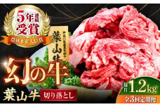 【全3回定期便】葉山牛 切り落とし300g×4パック 国産牛 牛肉 切り落とし 高級和牛 冷凍 黒毛和牛 国産 希少品種 小分け 横須賀 すき焼き すきやき ぎゅうにく きりおとし 大容量 神奈川銘品 計1.2kg【株式会社羽根】 [AKAG033]