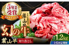 【全6回定期便】葉山牛 切り落とし300g×4パック 国産牛 牛肉 切り落とし 高級和牛 冷凍 黒毛和牛 国産 希少品種 小分け 横須賀 すき焼き すきやき ぎゅうにく きりおとし 大容量 神奈川銘品 計1.2kg【株式会社羽根】 [AKAG034]