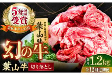 【全12回定期便】葉山牛 切り落とし300g×4パック 国産牛 牛肉 切り落とし 高級和牛 冷凍 黒毛和牛 国産 希少品種 小分け 横須賀 すき焼き すきやき ぎゅうにく きりおとし 大容量 神奈川銘品 計1.2kg【株式会社羽根】 [AKAG035]