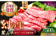 【全12回定期便】葉山牛肩ロースすき焼き用 250g×2パック 小分け 牛肉 すきやき 冷凍  計500g とろける 国産牛 贅沢 牛肉 切り落とし うす切り 高級和牛 冷凍 黒毛和牛 国産 和牛 肩ロース 赤身 希少品種 小分け すき焼き すきやき しゃぶしゃぶ ぎゅうにく きりおとし 大容量 横須賀 お取り寄せ【株式会社羽根】 [AKAG038]