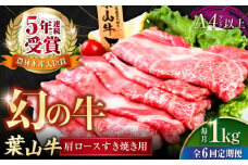 【全6回定期便】葉山牛肩ロースすき焼き用 250g×4パック 小分け 牛肉 すきやき 冷凍  計1.0kg とろける 国産牛 贅沢 牛肉 切り落とし うす切り 高級和牛 1キロ 冷凍 黒毛和牛 国産 和牛 肩ロース 赤身 希少品種 小分け すき焼き すきやき しゃぶしゃぶ ぎゅうにく きりおとし たっぷり 大容量 横須賀 お取り寄せ【株式会社羽根】 [AKAG040]