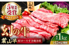 【全12回定期便】葉山牛肩ロースすき焼き用 250g×4パック 小分け 牛肉 すきやき 冷凍  計1.0kg とろける 国産牛 贅沢 牛肉 切り落とし うす切り 高級和牛 1キロ 冷凍 黒毛和牛 国産 和牛 肩ロース 赤身 希少品種 小分け すき焼き すきやき しゃぶしゃぶ ぎゅうにく きりおとし たっぷり 大容量 横須賀 お取り寄せ【株式会社羽根】 [AKAG041]