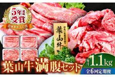 【全6回定期便】葉山牛満腹セット（肩ロースすき焼用250g×2＋切落し300g×2） 国産牛 牛肉 切り落とし 肩ロース 贅沢 セット たっぷり 大容量 1キロ超え 高級和牛 冷凍 黒毛和牛 国産 希少品種 小分け 横須賀 すき焼き すきやき 肉じゃが カレー 料理 ぎゅうにく きりおとし【株式会社羽根】 [AKAG043]