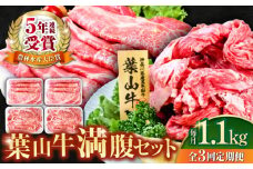 【全3回定期便】葉山牛満腹セット（肩ロースすき焼用250g×2＋切落し300g×2） 国産牛 牛肉 切り落とし 肩ロース 贅沢 セット たっぷり 大容量 1キロ超え 高級和牛 冷凍 黒毛和牛 国産 希少品種 小分け 横須賀 すき焼き すきやき 肉じゃが カレー 料理 ぎゅうにく きりおとし【株式会社羽根】 [AKAG042]