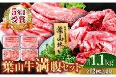 【全12回定期便】葉山牛満腹セット（肩ロースすき焼用250g×2＋切落し300g×2） 国産牛 牛肉 切り落とし 肩ロース 贅沢 セット たっぷり 大容量 1キロ超え 高級和牛 冷凍 黒毛和牛 国産 希少品種 小分け 横須賀 すき焼き すきやき 肉じゃが カレー 料理 ぎゅうにく きりおとし【株式会社羽根】 [AKAG044]
