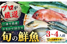 【全12回定期便】旬のおまかせ 厳選鮮魚セット 3～4人前(2～3魚種) プロが厳選 三浦半島産 旬 鮮魚 おまかせ 詰め合わせ 冷蔵便 定期 鮮魚 海の幸 魚介 海鮮 新鮮 産地直送【長井水産株式会社】 [AKAJ023]